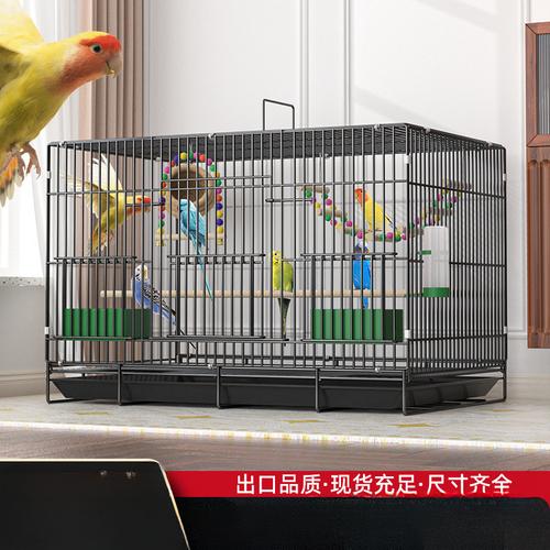 江苏鸽子养殖