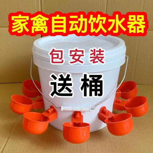 昆明鸽子养殖全攻略 从气候优势到市场前景的深度解析